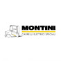 MONTINI Carrelli Elettrici Speciali YouTube channel avatar 