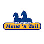Mane 'n Tail YouTube channel avatar 