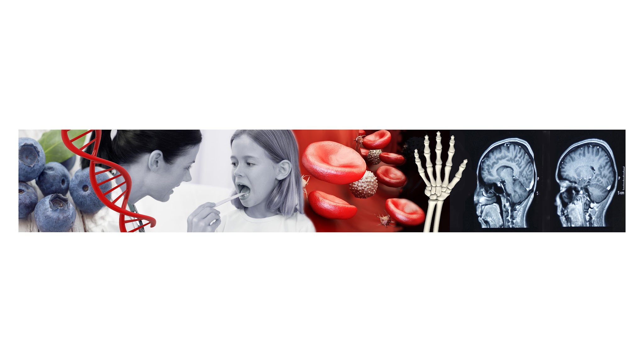UiO - Det medisinske fakultet  YouTube banner