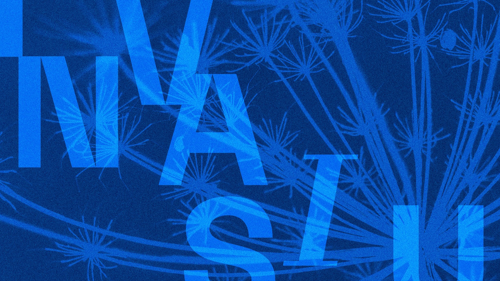 Dabas koncertzāle / Nature Concerthall YouTube banner