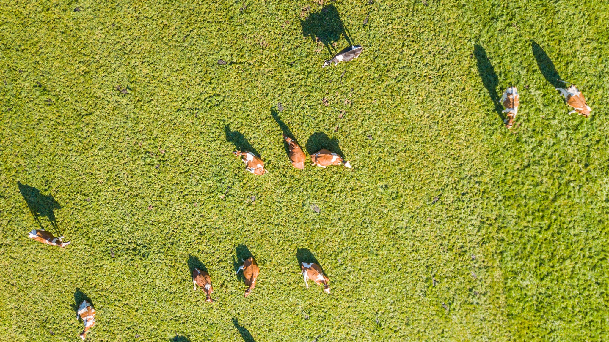 Bundesamt für Landwirtschaft BLW YouTube banner