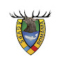 AGVPS din România YouTube channel avatar 