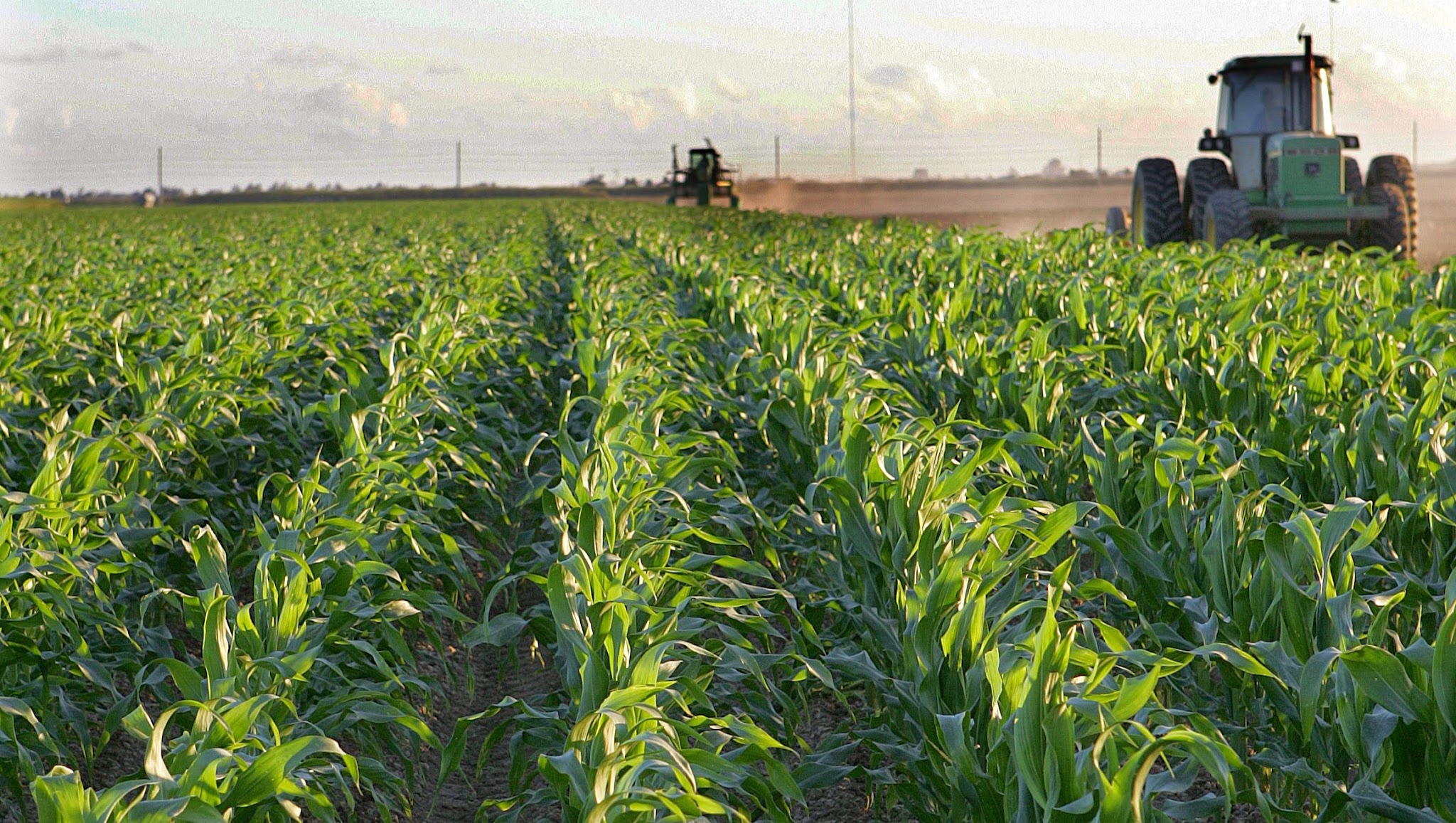 Florida Department of Agriculture and Consumer Services YouTube banner