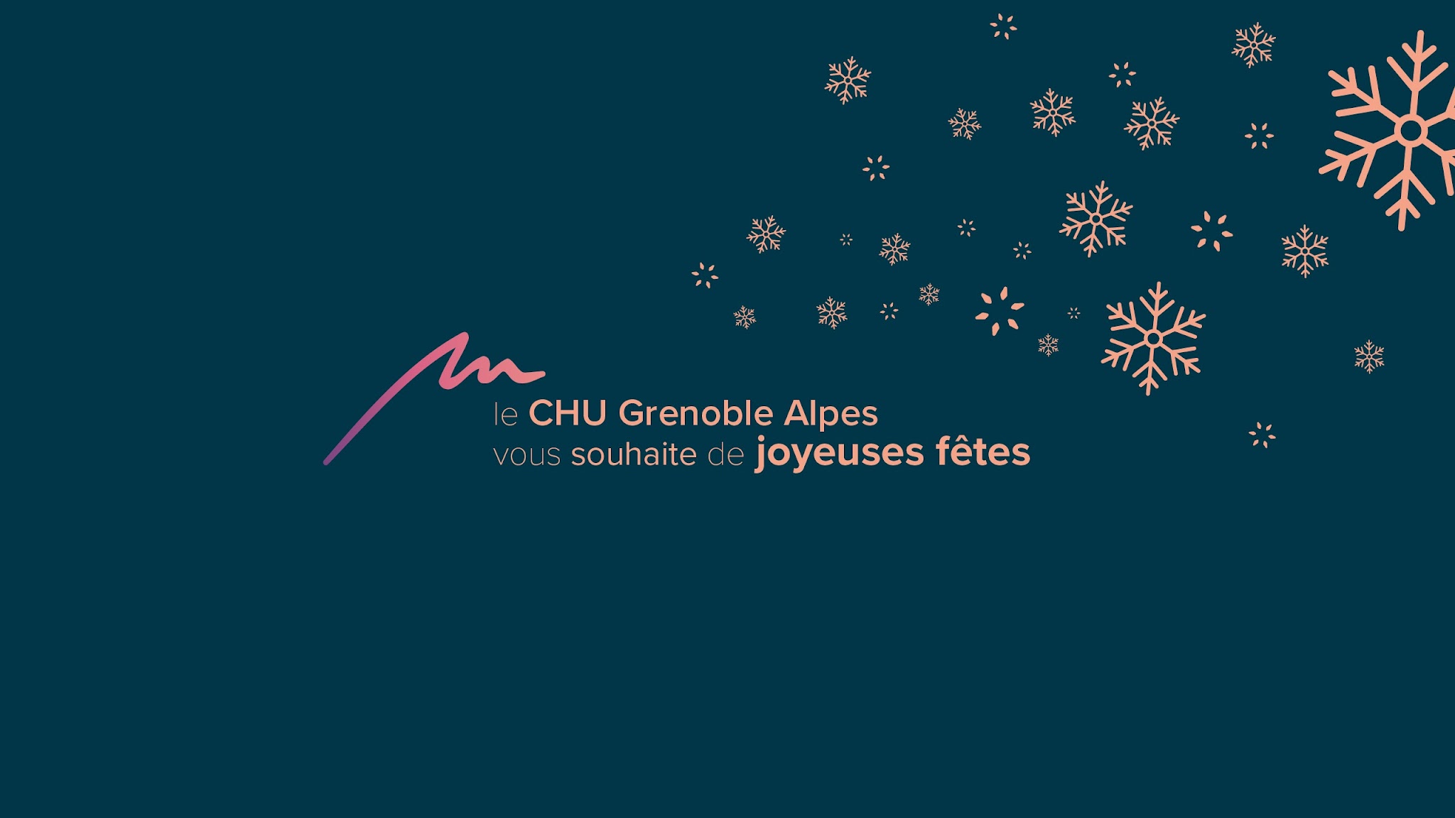 CHU Grenoble Alpes YouTube banner