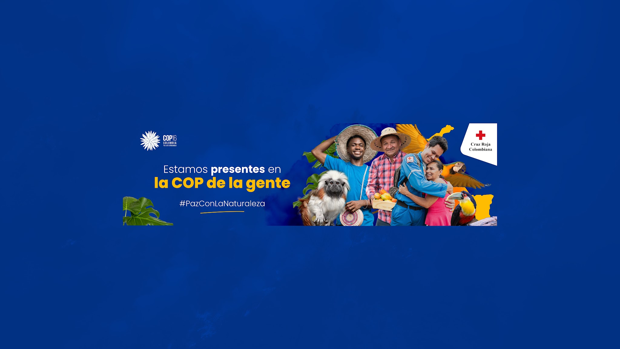Cruz Roja Colombiana YouTube banner