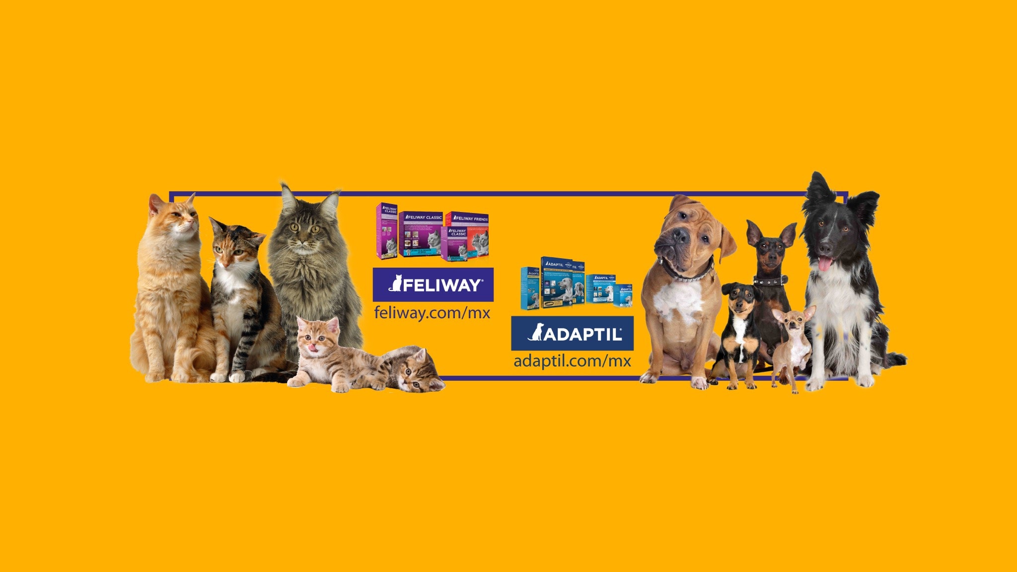 Feliway y Adaptil México YouTube banner