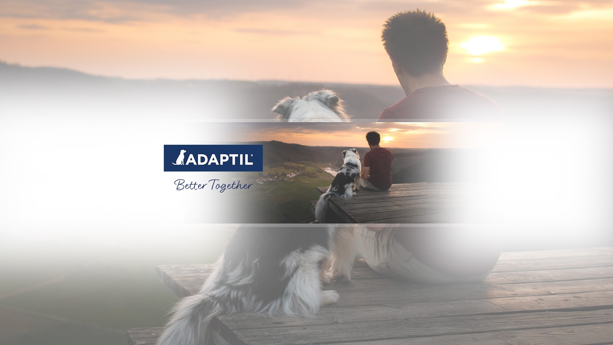 ADAPTIL för hundar YouTube banner