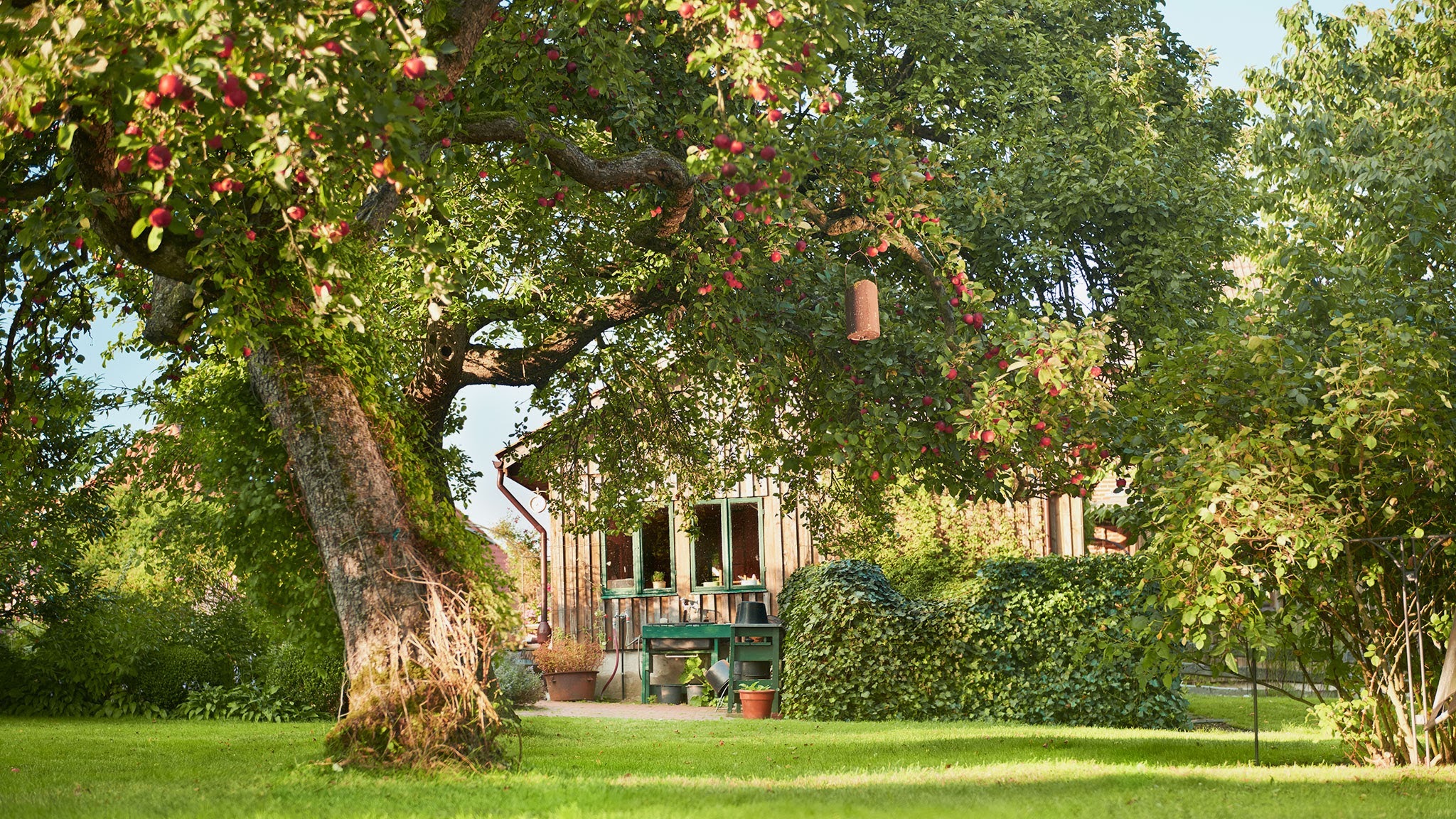 WOLF-Garten Danmark YouTube banner