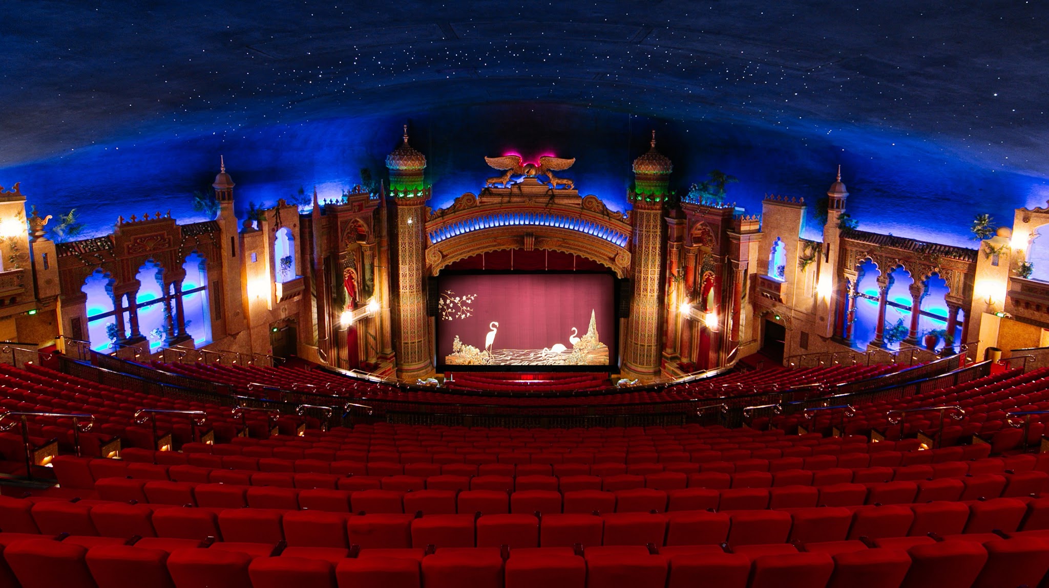 Auckland Live YouTube banner