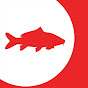 Georgian Carp Fishing Federation - GCFF YouTube channel avatar 