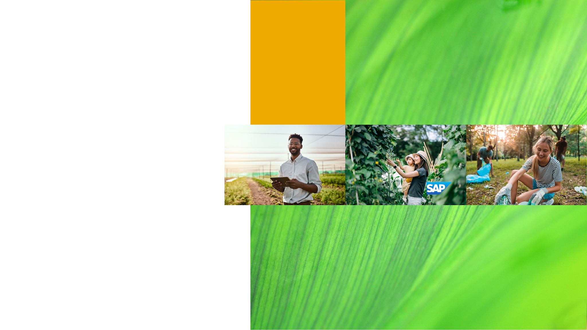 SAP Nederland YouTube banner