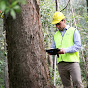 Forestry Corporation of NSW logo