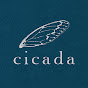 Cicada (Taiwan) logo