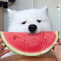 Mayapolarbear YouTube channel avatar 