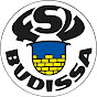 Budissa-TV logo