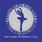 Ballett Akademie Luzern logo