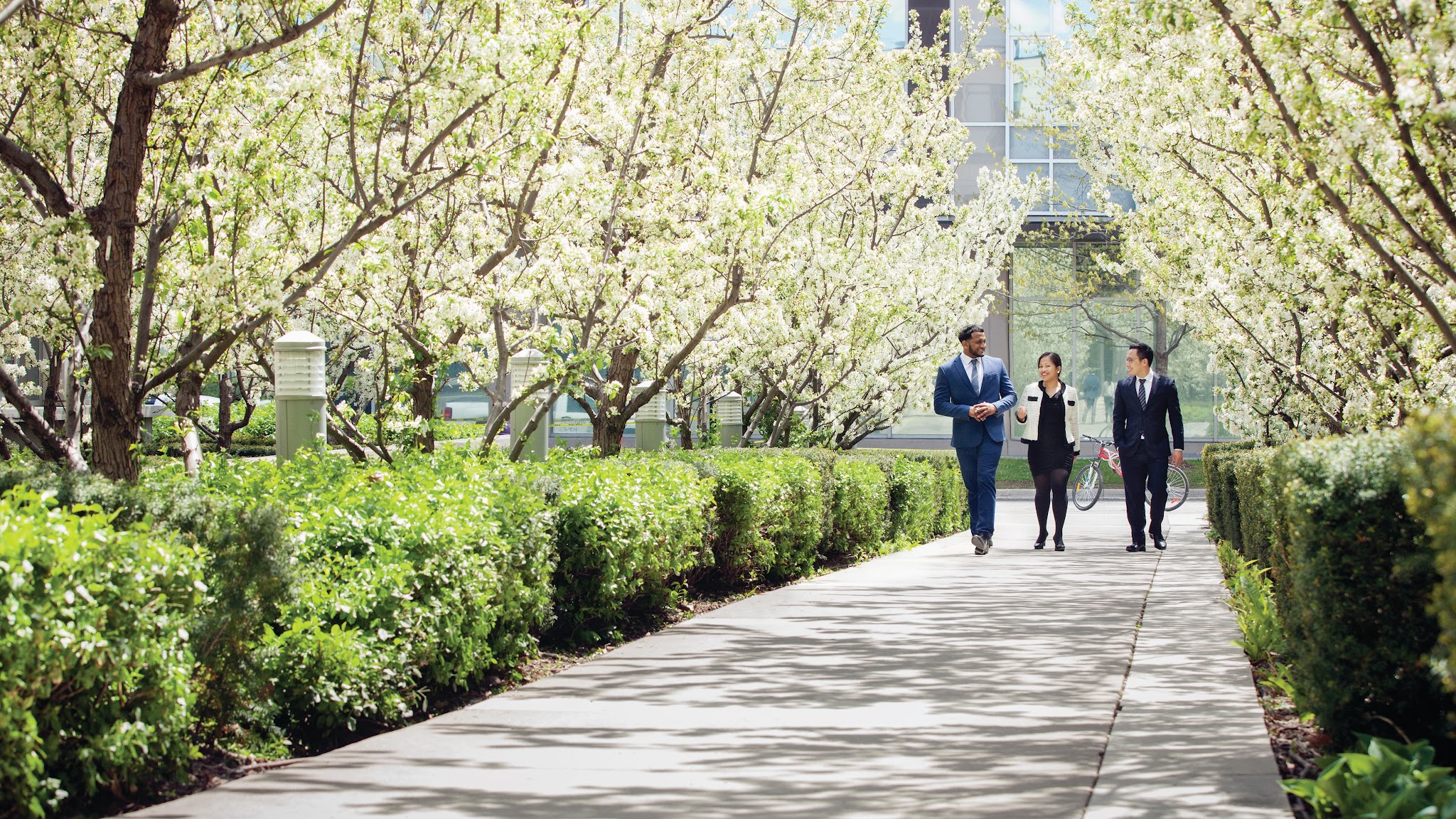 Schulich School of Business - York University YouTube banner