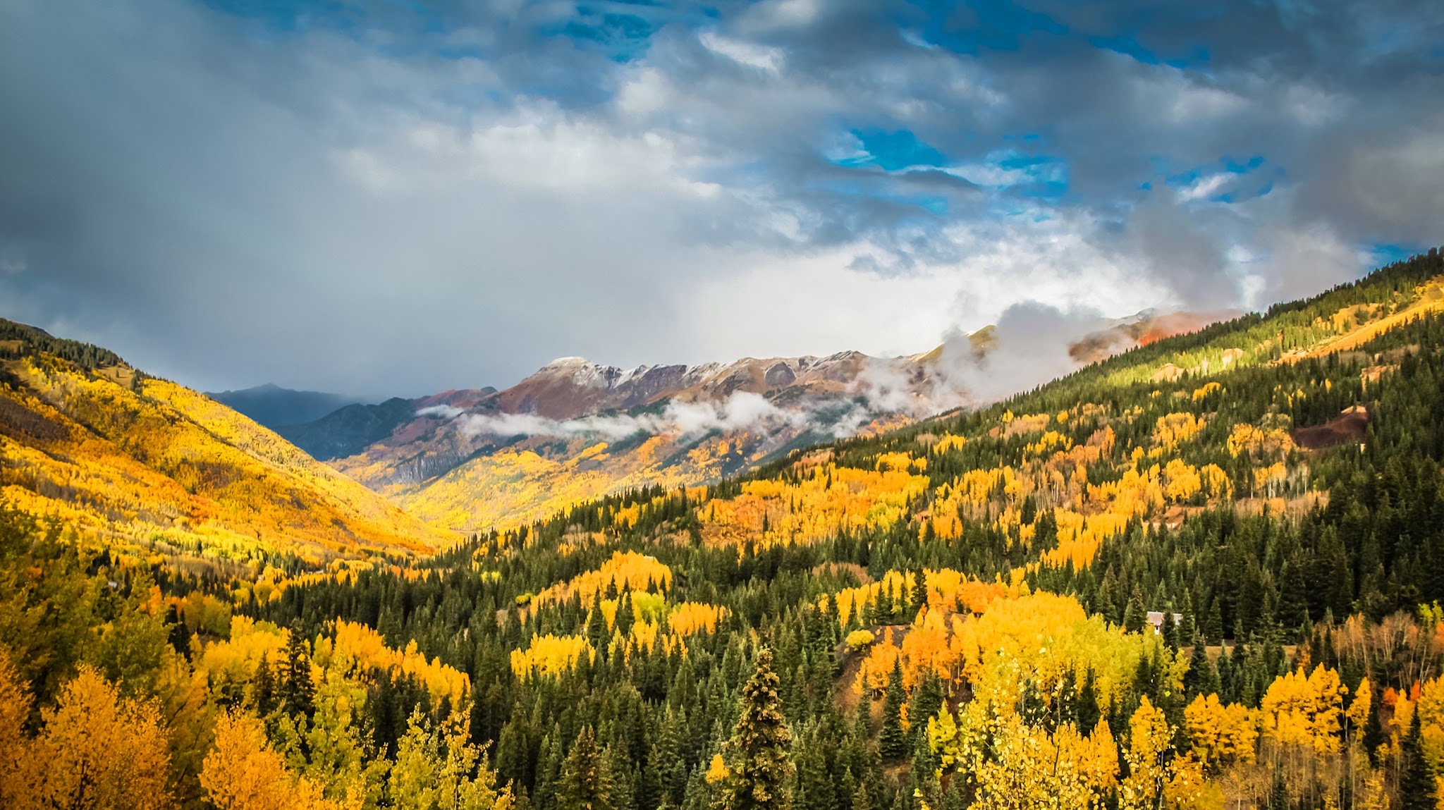 Colorado State Forest Service YouTube banner