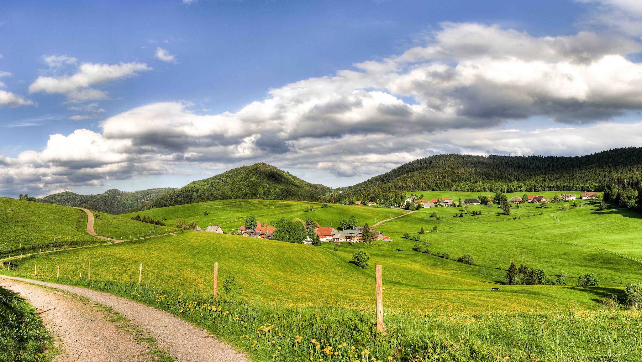 Naturpark Südschwarzwald YouTube banner