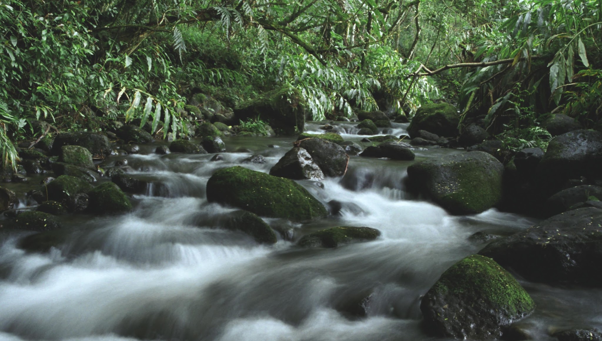 Hawaii Commission on Water Resource Management YouTube banner