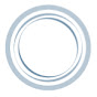 Pieralisi logo