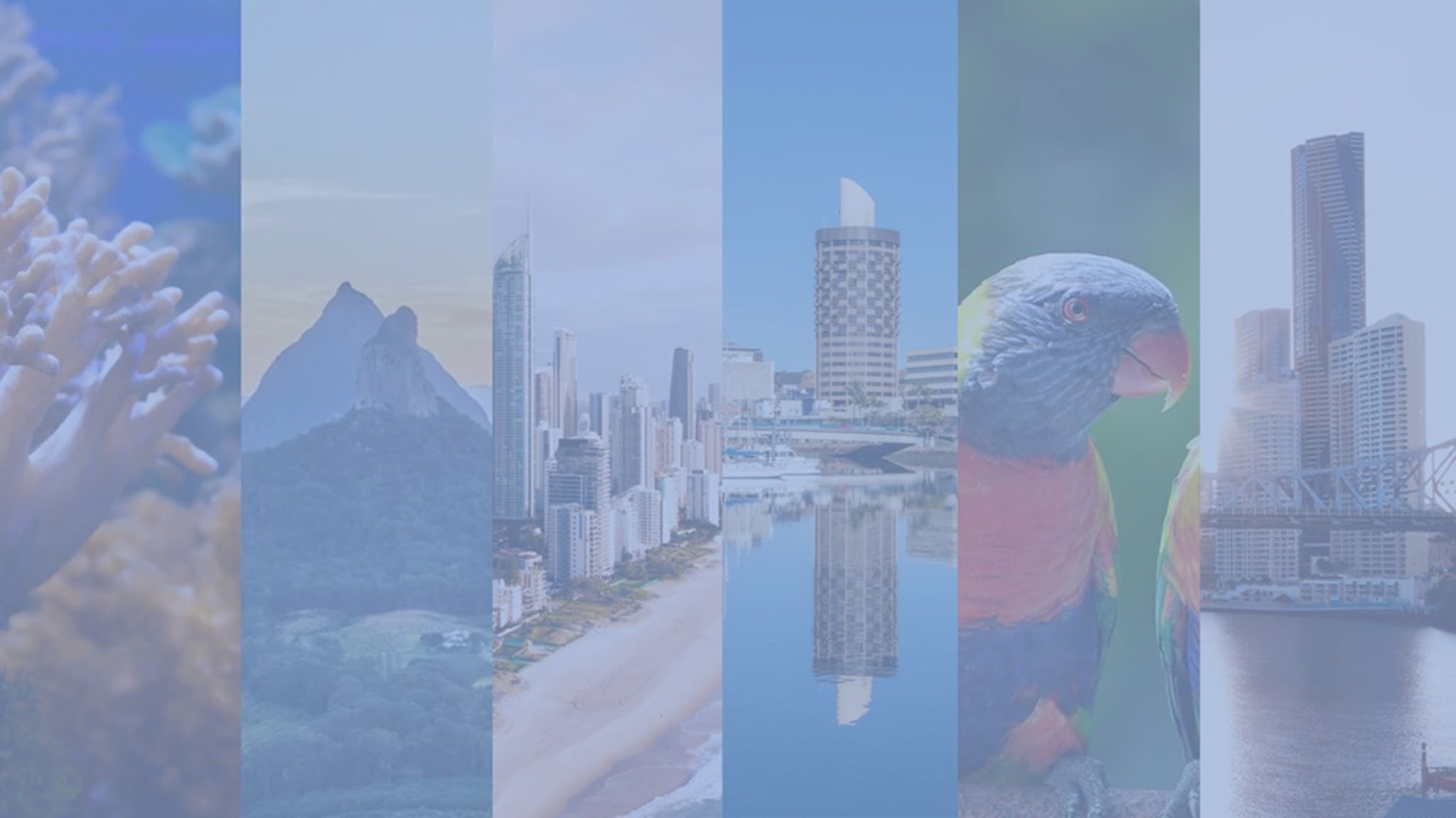 Queensland Revenue Office YouTube banner