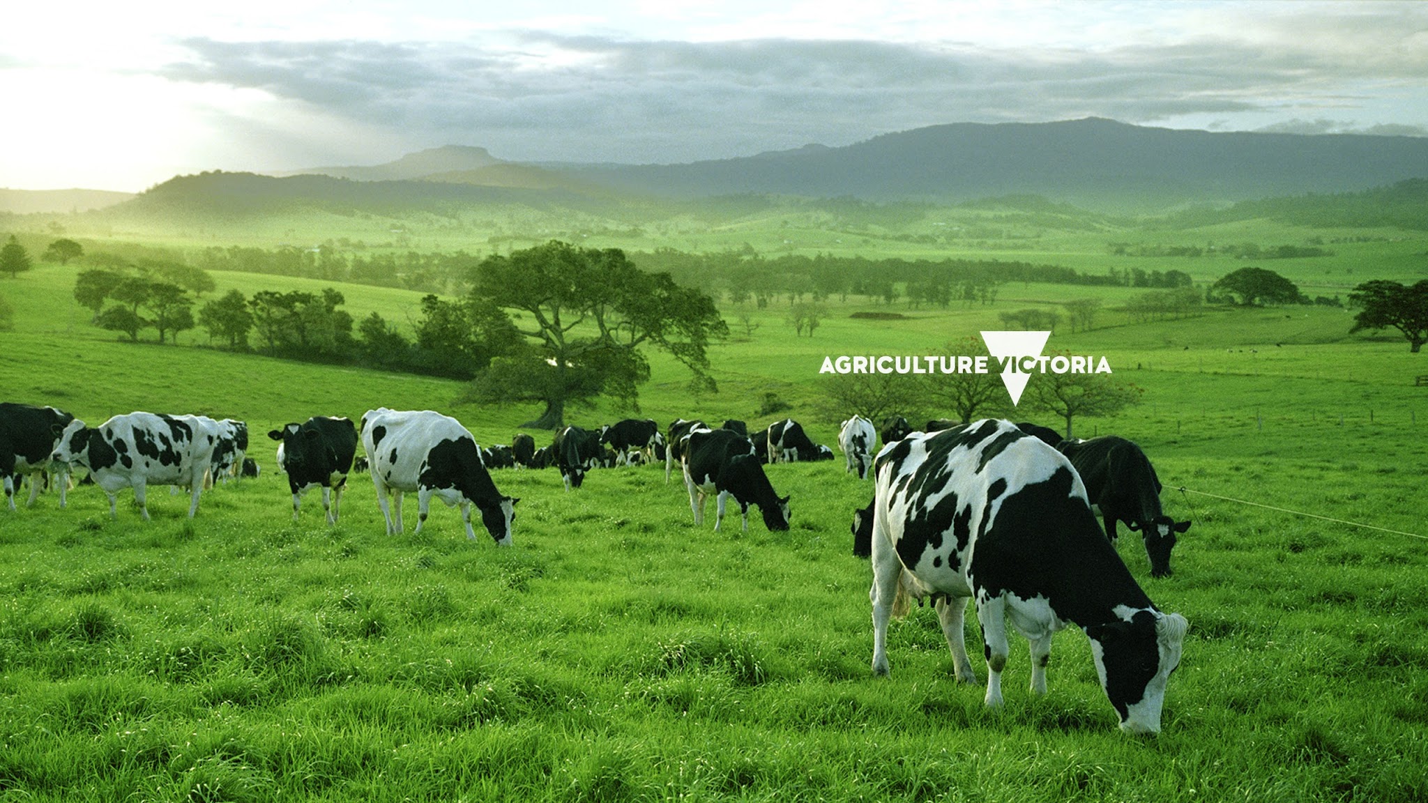 Agriculture Victoria YouTube banner