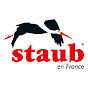 STAUB Italia logo