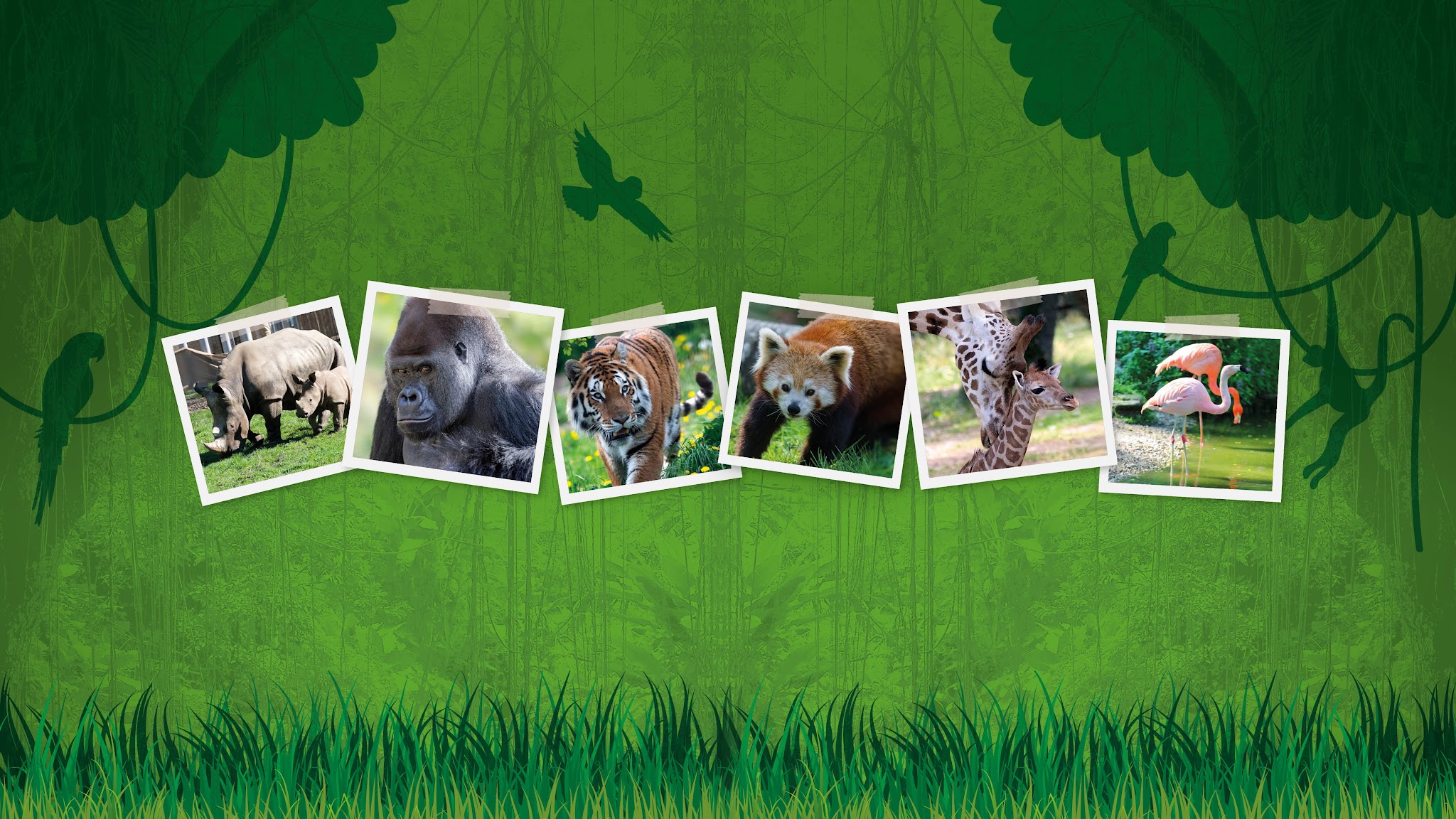 Zoo Schmiding YouTube banner