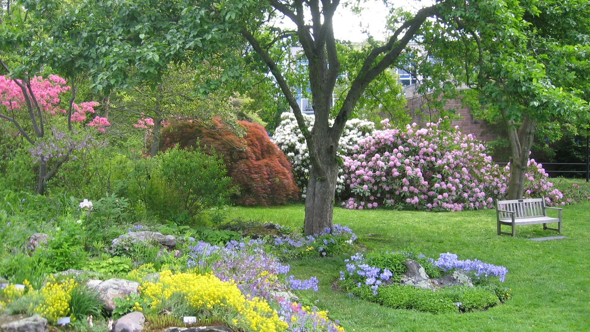 The Botanic Garden of Smith College YouTube banner