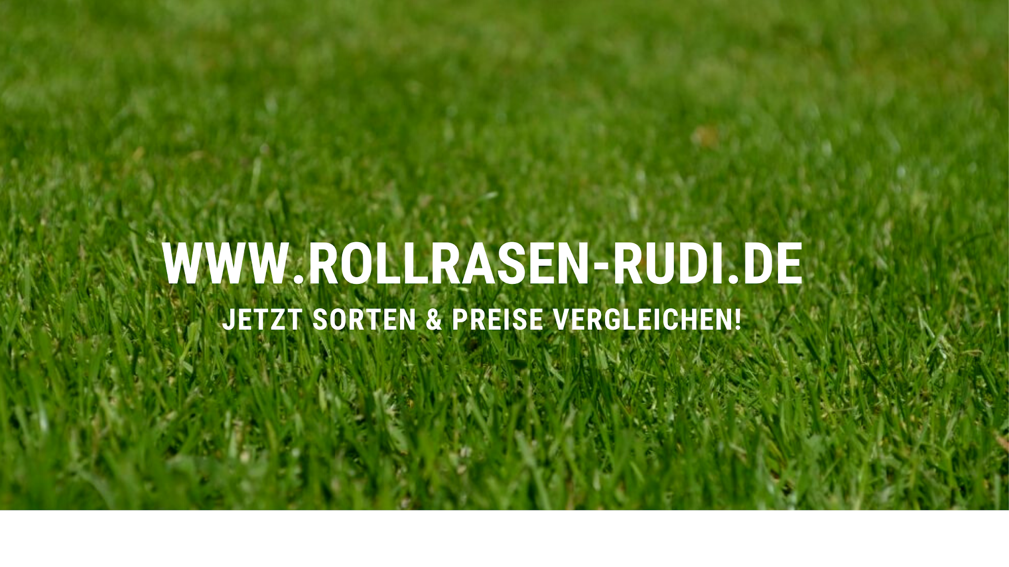 Rollrasen Rudi YouTube banner