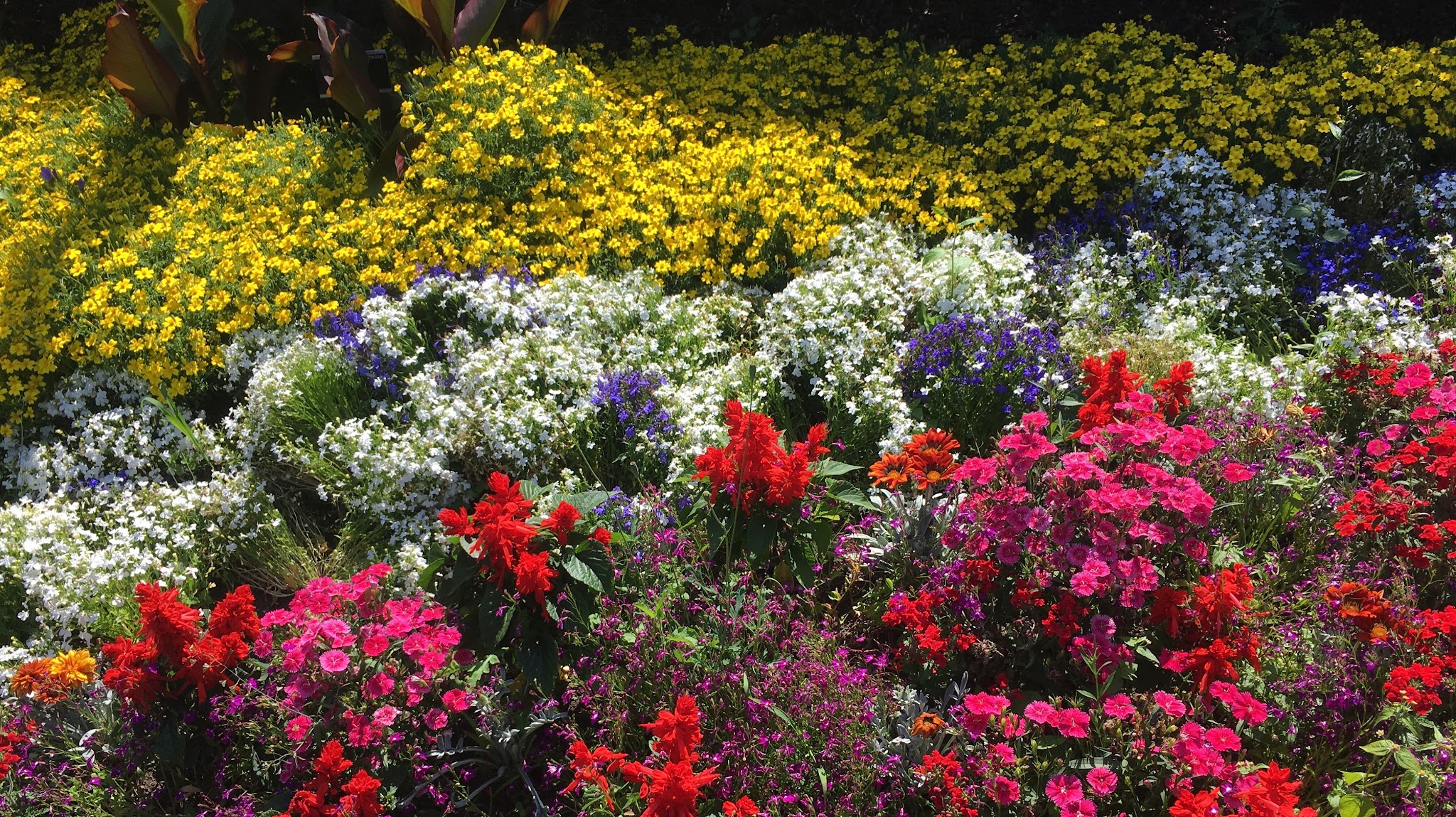 National Botanic Gardens of Ireland YouTube banner