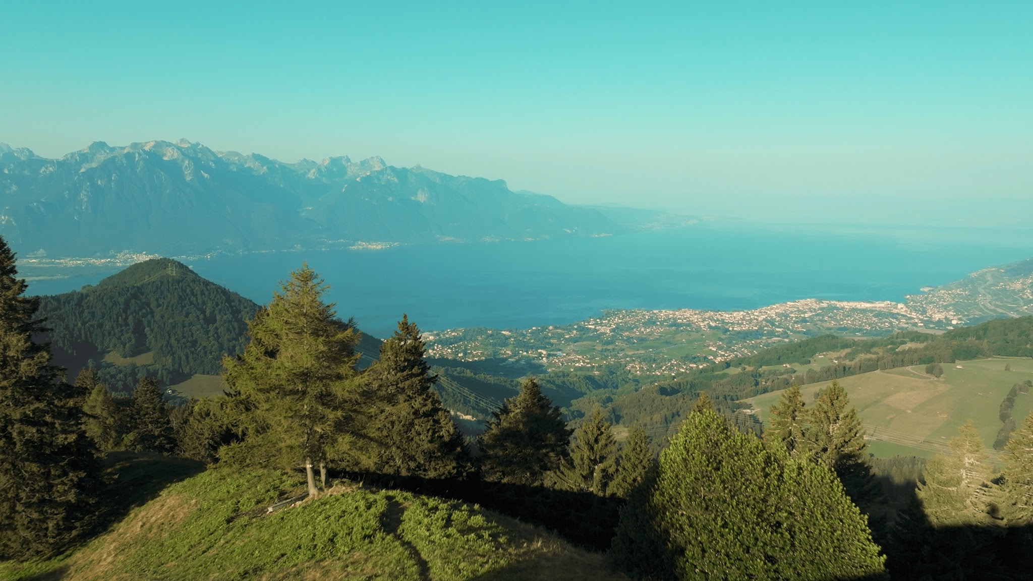 MyVAUD YouTube banner
