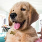 Tucker Budzyn YouTube channel avatar 