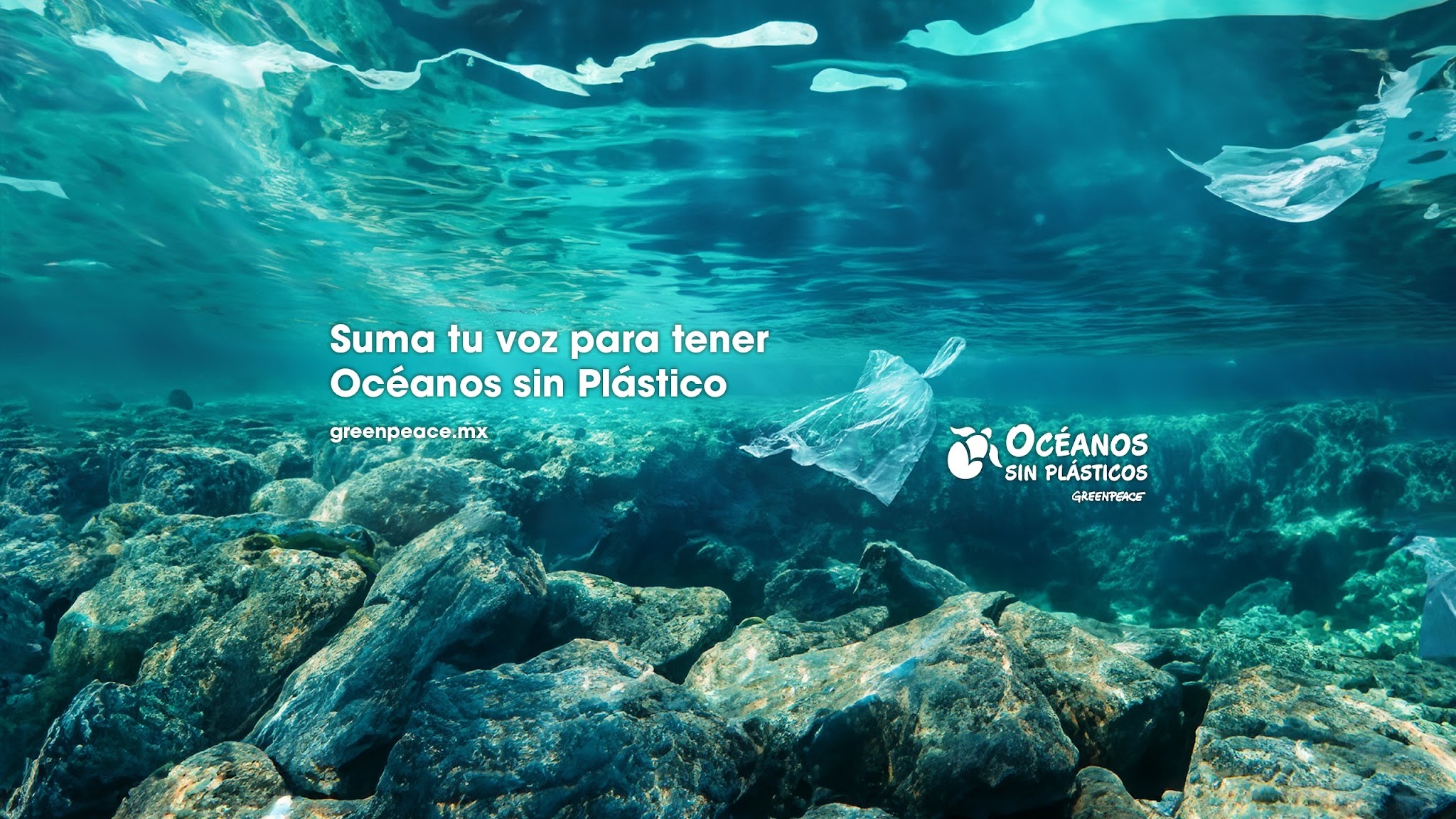 Greenpeace México YouTube banner