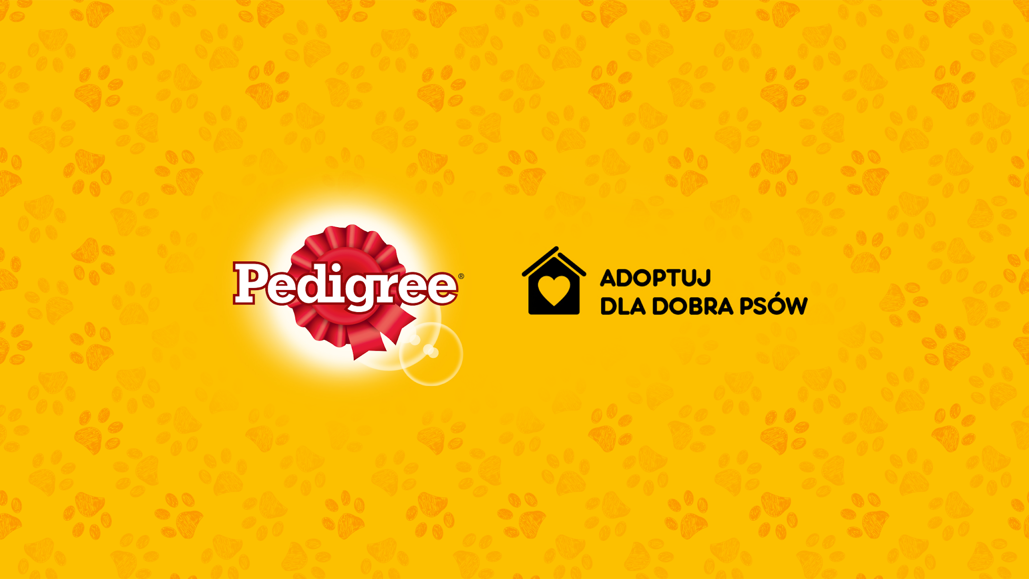 Pedigree Polska YouTube banner