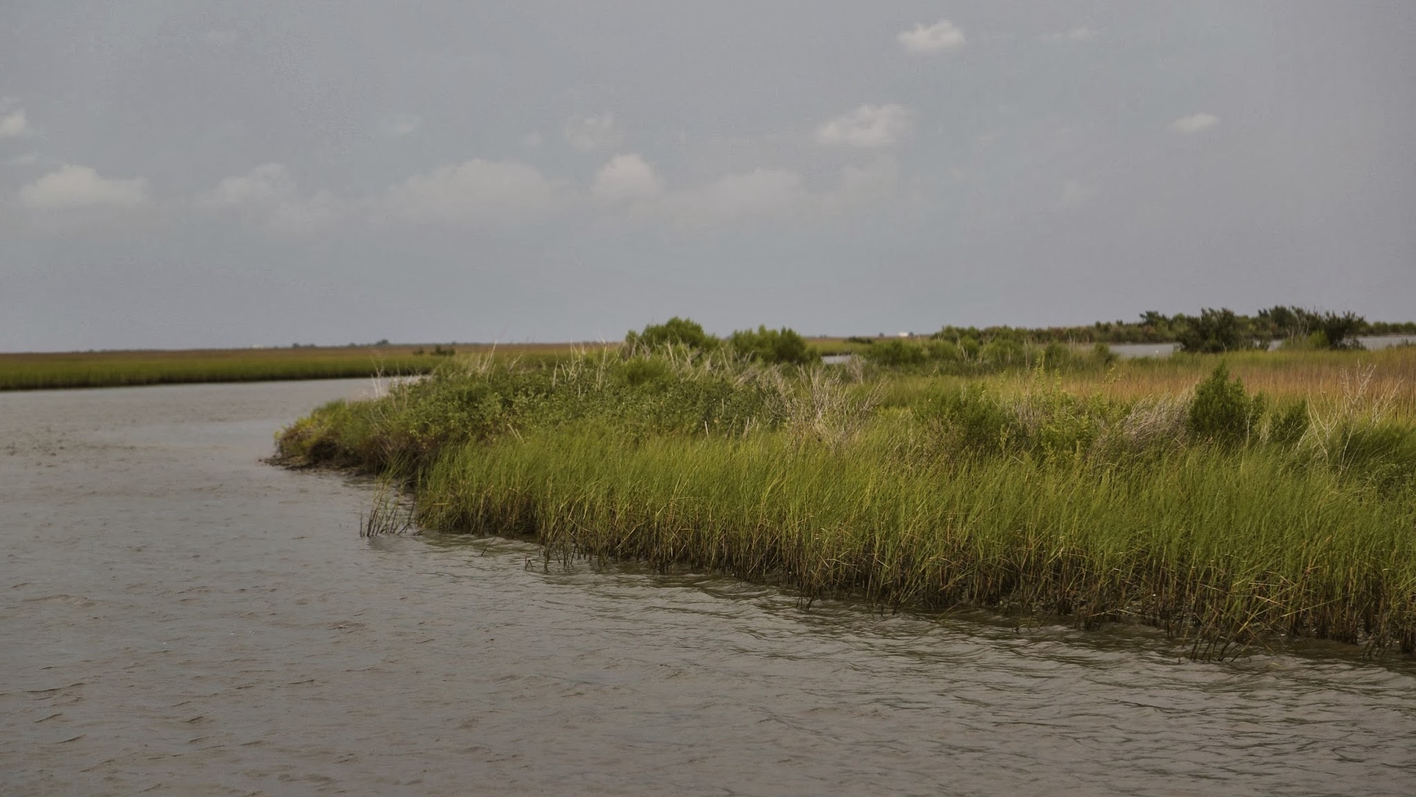 LAWildlifeFish YouTube banner
