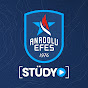 Anadolu Efes Stüdyo logo
