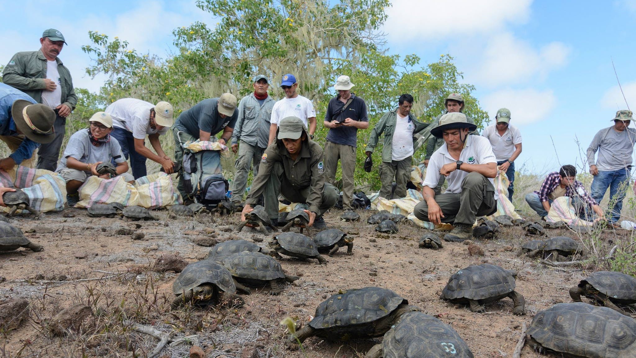 Parque Nacional Galápagos YouTube banner