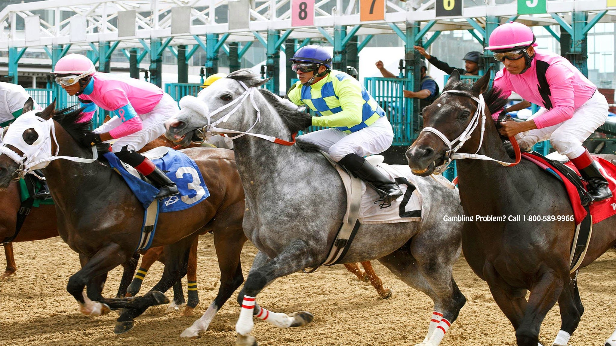 JACK Thistledown YouTube banner