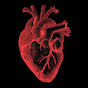 Cardiac Surgery University of Crete YouTube channel avatar 