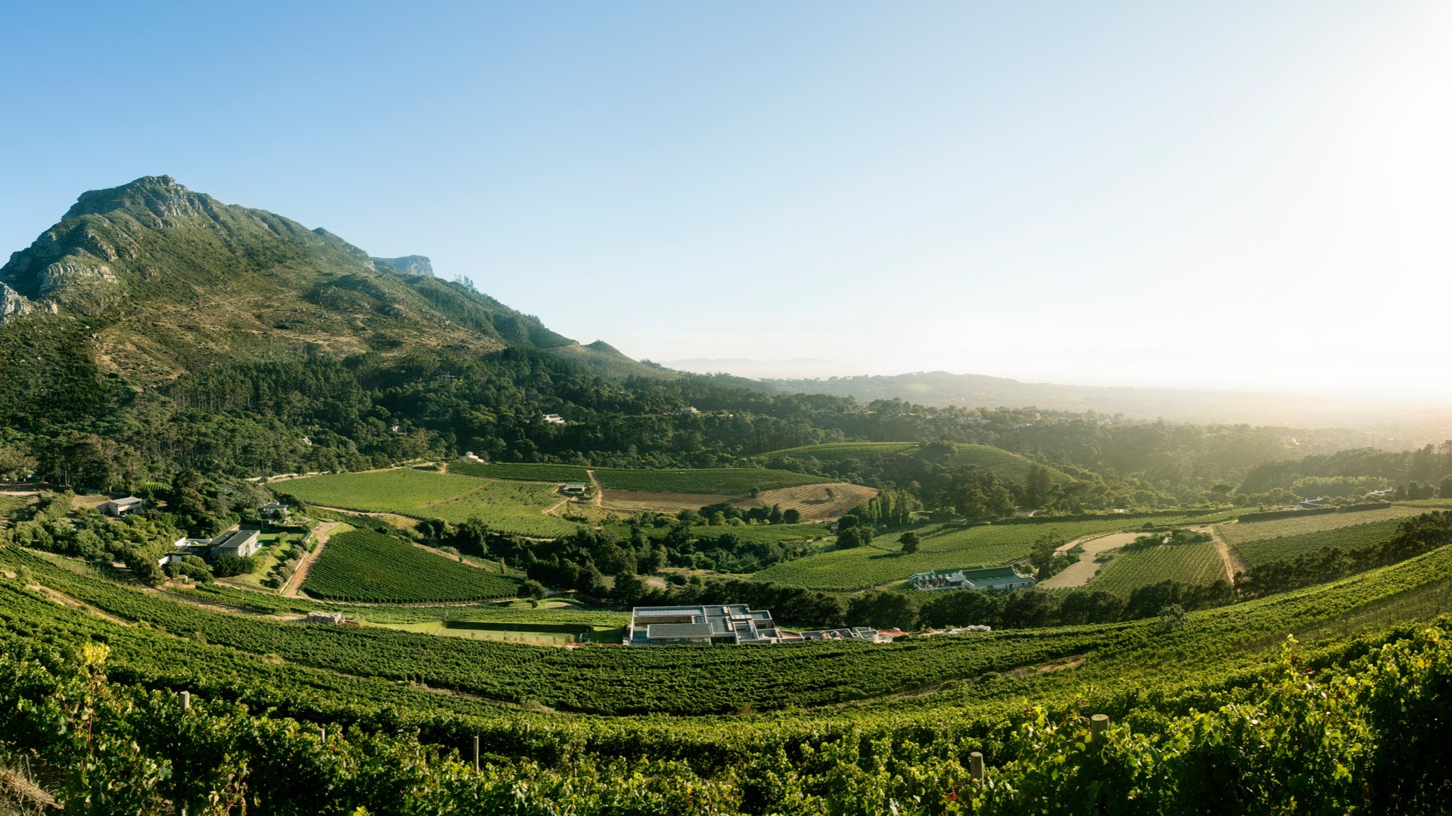 Wines of South Africa YouTube banner