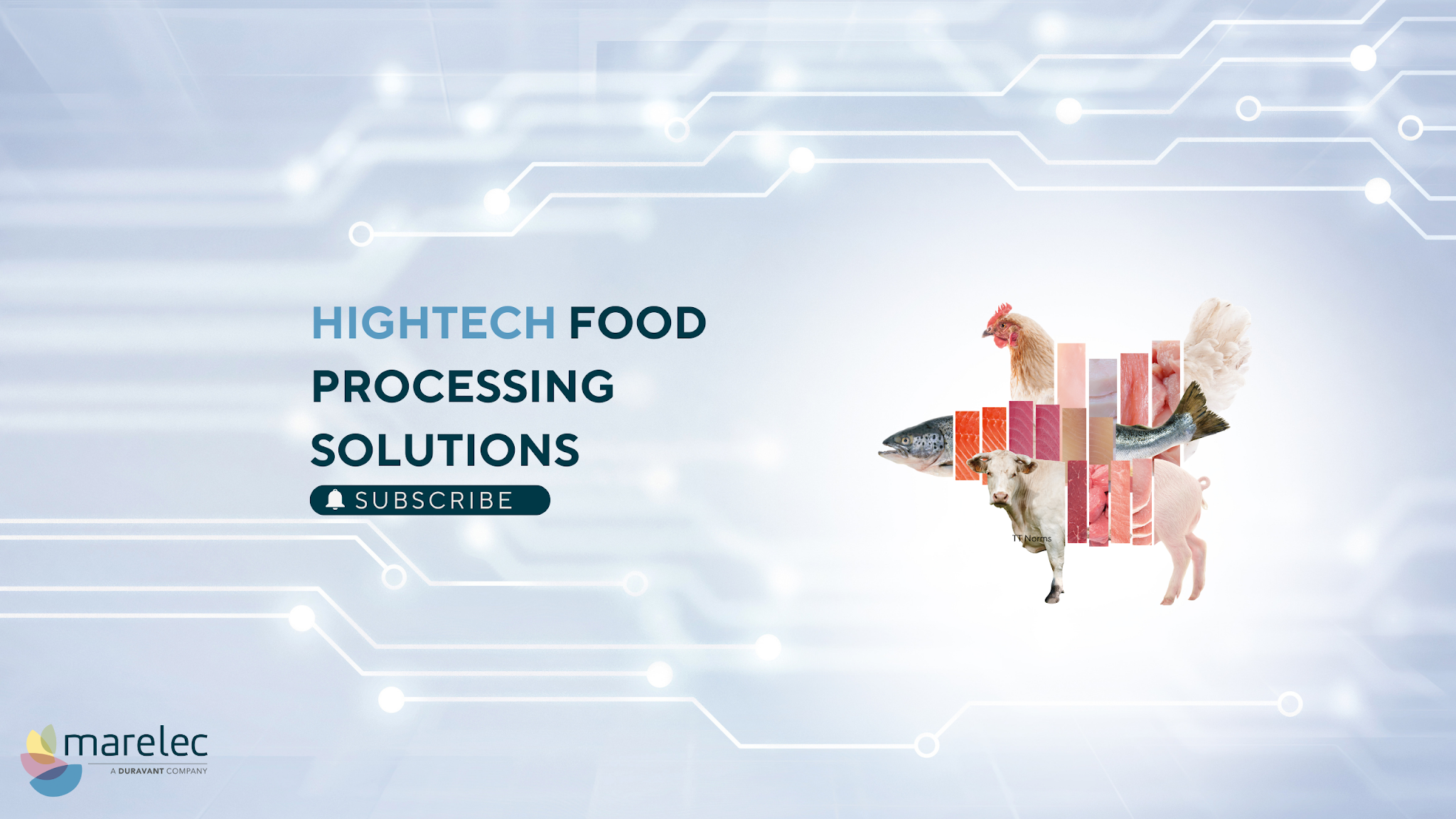 MARELEC Food Technologies YouTube banner