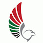 UAE General Civil Aviation Authority YouTube channel avatar 