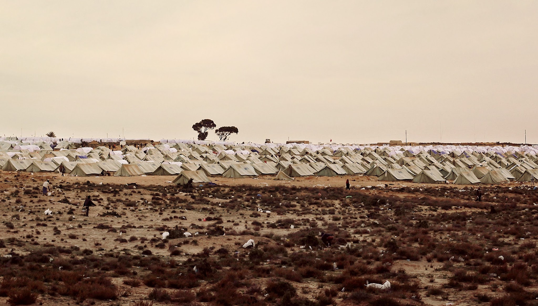 Danish Refugee Council YouTube banner