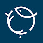 Norges Jeger- og Fiskerforbund YouTube channel avatar 
