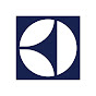 Electrolux Russia logo