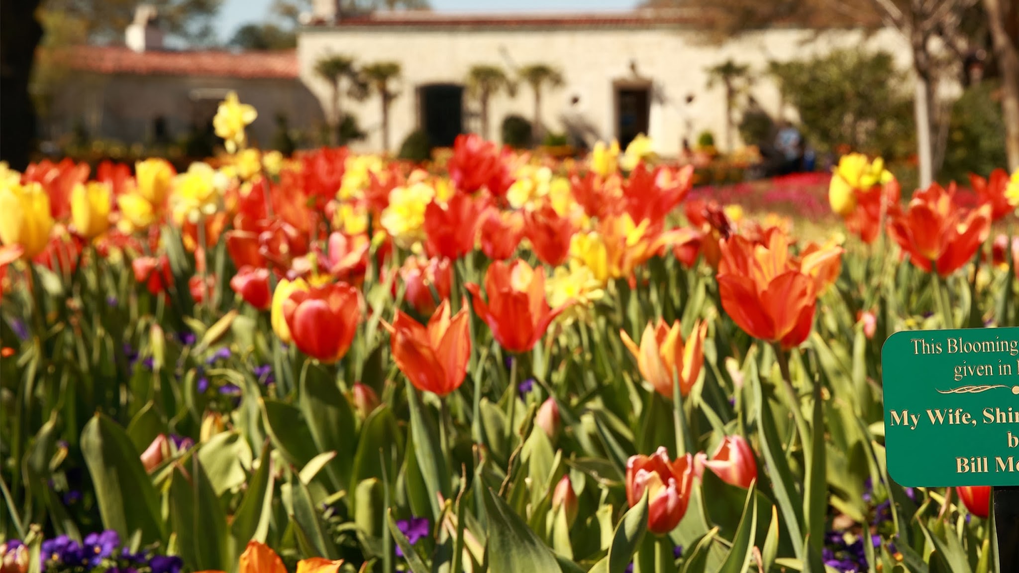 The Dallas Arboretum YouTube banner