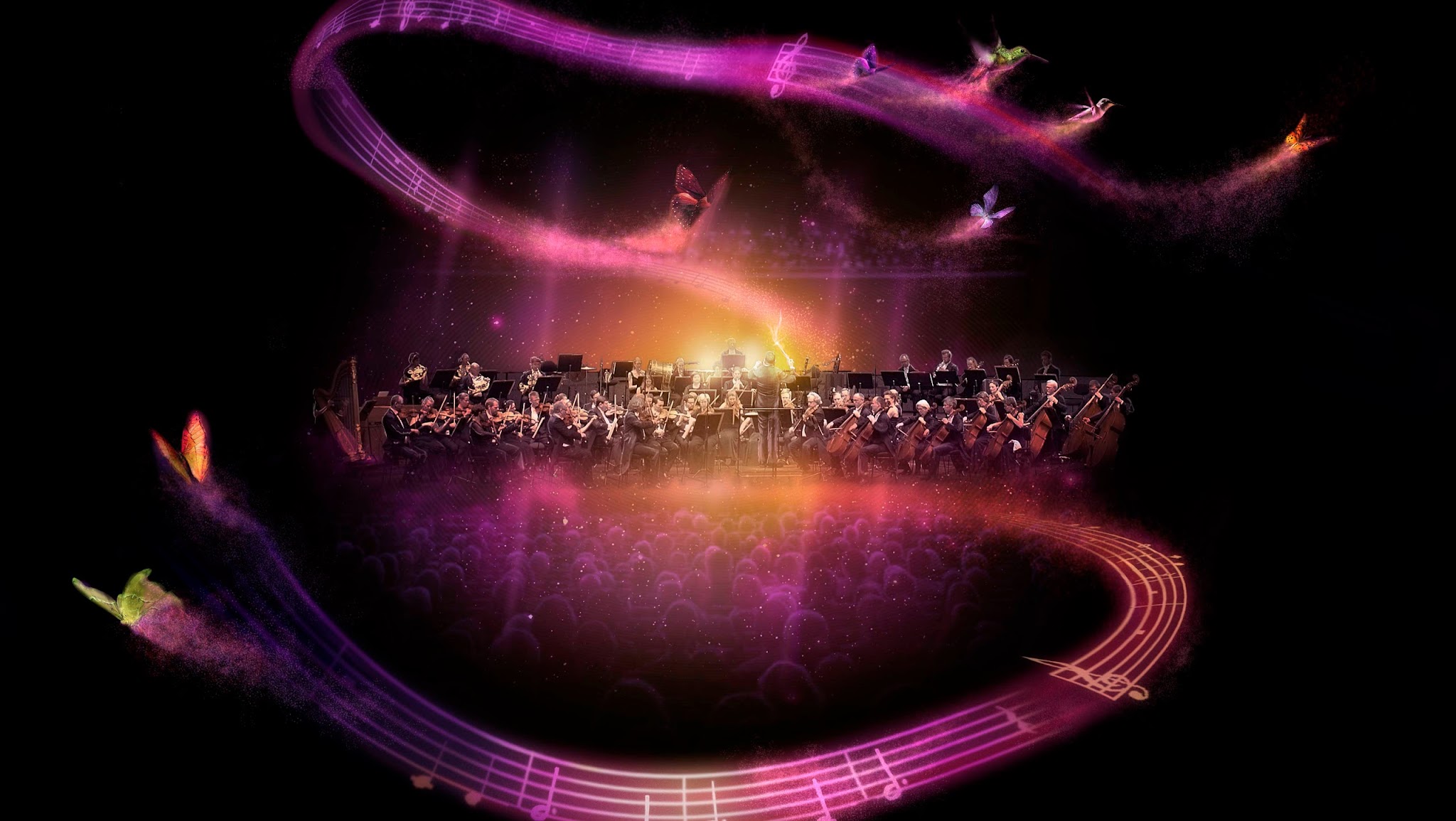 Aalborg Symfoniorkester YouTube banner