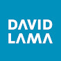 David Lama logo